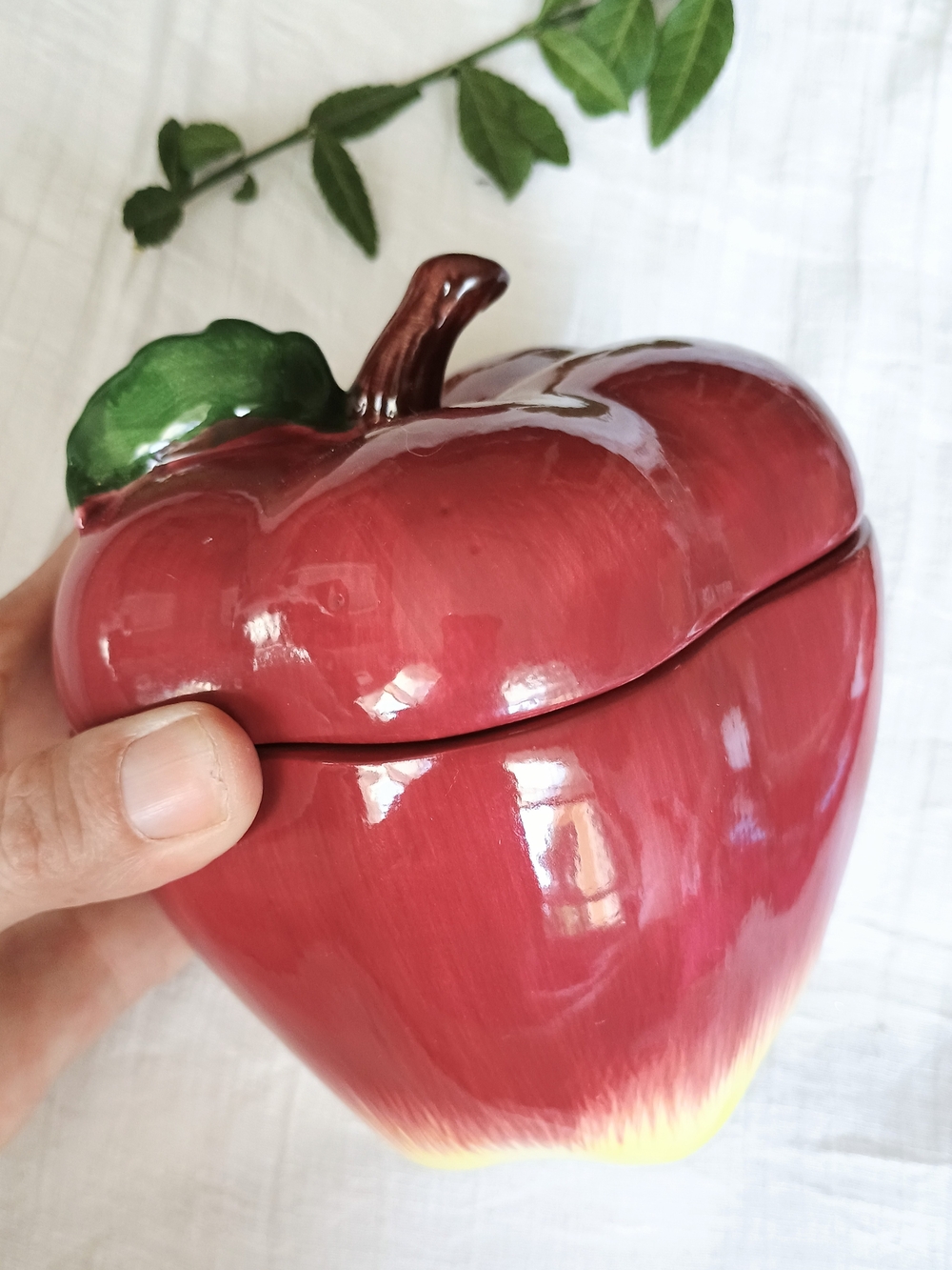 🍎 COTTAGE CORE 🍎 Ceramic Apple Canister, Fall Vibes, Apple Core, Farm Core